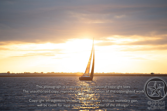20200909_ROD0547