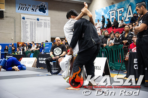 20190309_ROD1911