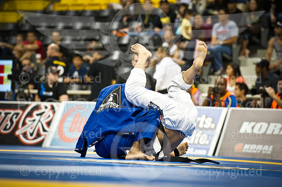 20120603_ROD00262