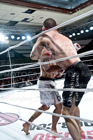 20100403_DSC2496