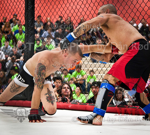 20120407_ROD2748