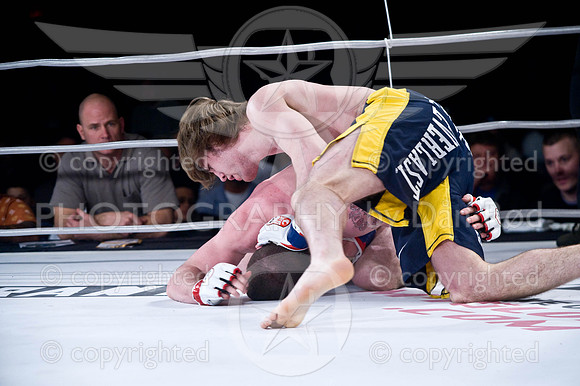 20100403_DSC4611