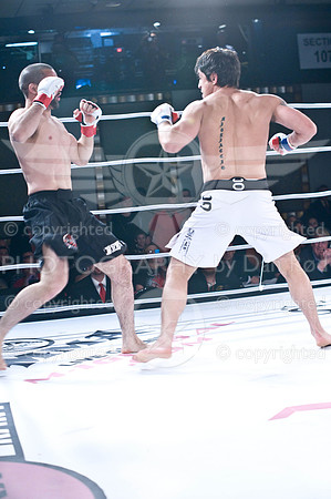 20100403_DSC2029