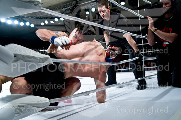 20100403_DSC2457