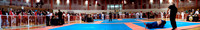 20110305_DPanoramicx11
