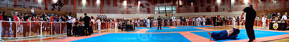 20110305_DPanoramicx11