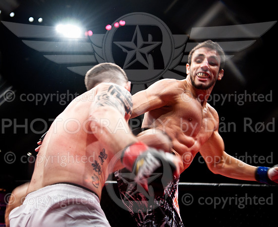 20130125_ROD1286