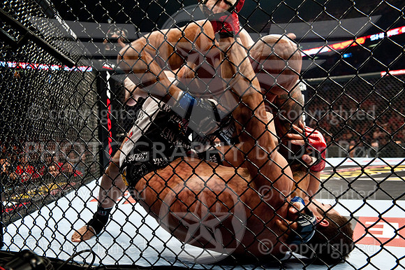 20110212_D7C0074